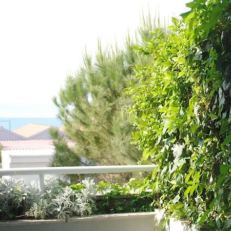 Hotel More 3*